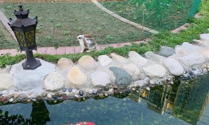 Wanshang Ruyi Hotel (Beijing Lugu East Street)