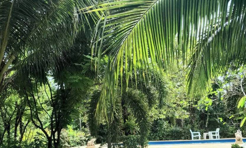 Samran Resort