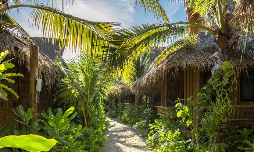 Phi Phi Coco Beach Resort