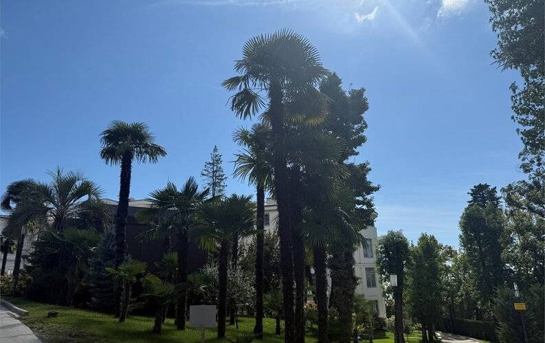 Моресолнцеапарт В Ак Гранд Роял Резиденс