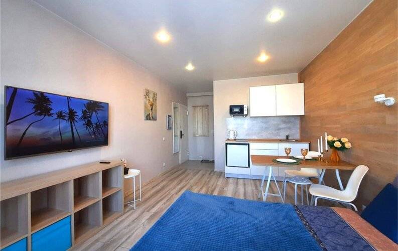 Loft Studio На Ларюшина 6к2