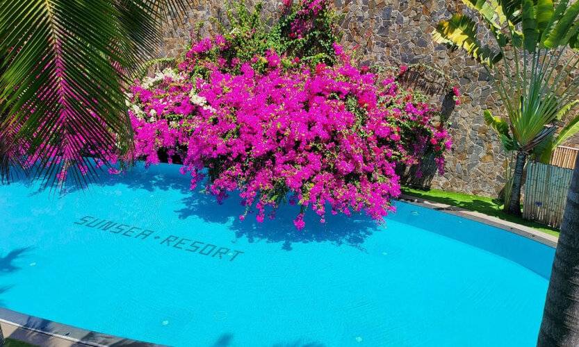 Sunsea