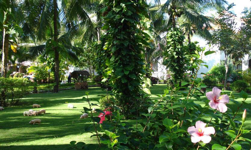 Four Oceans Resort Muine