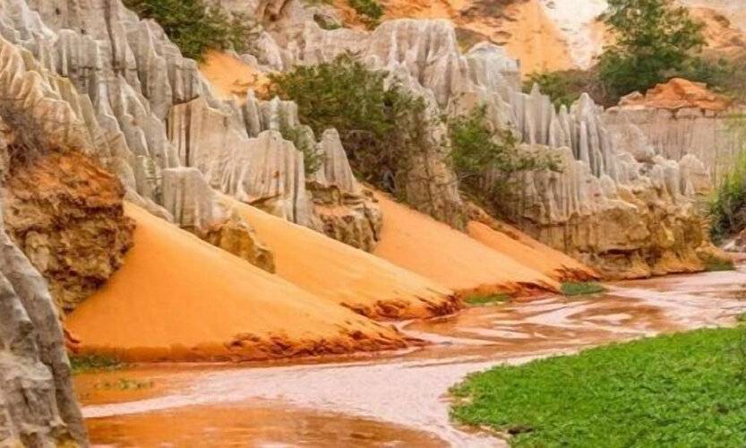 S1823 Apec Mandala Cham Bay