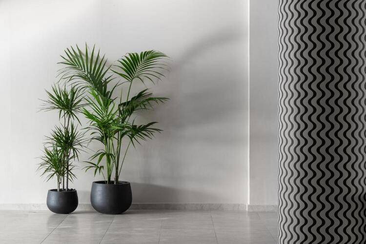 Paralos Rodos Lifestyle