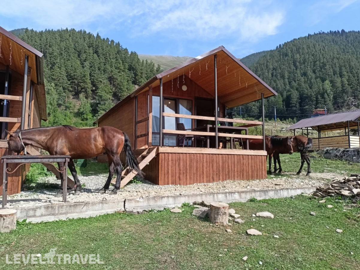 фотографии отеля Arkhyz Family Lodge (Архыз Фэмили Лодж) в Россия(Архыз) - фото №12