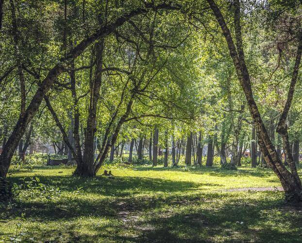 Eko Forest Cottage (Эко Форест Коттедж)