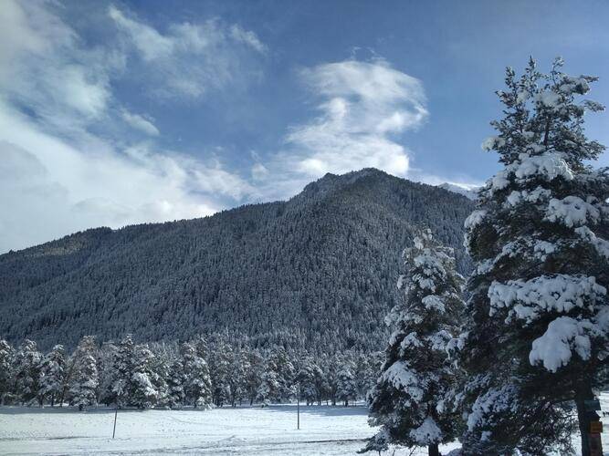 Eko Forest Cottage (Эко Форест Коттедж)