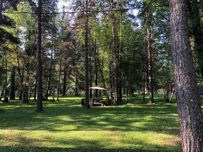 Forest Сottage (Форест Коттедж)