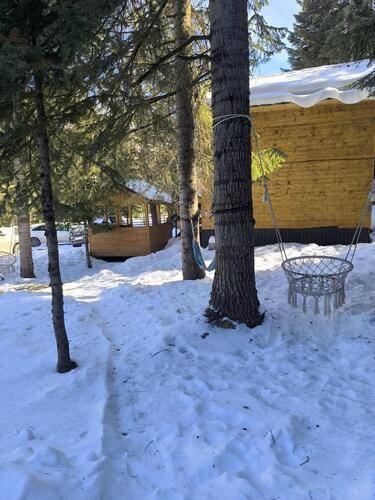 Greenhouse 1599 (Гринхаус 1599)