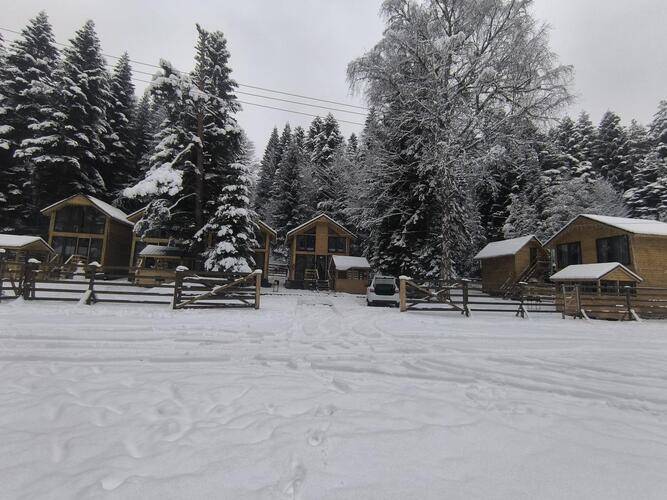 Greenhouse 1599 (Гринхаус 1599)