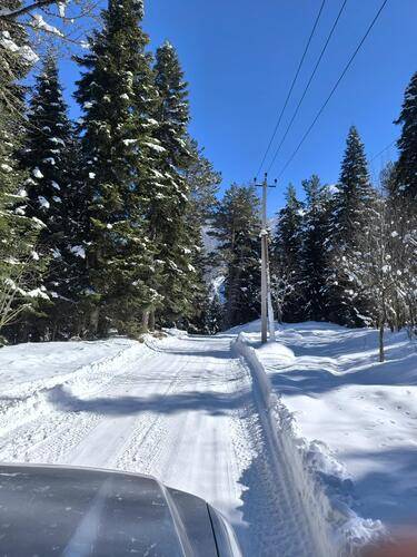 Greenhouse 1599 (Гринхаус 1599)