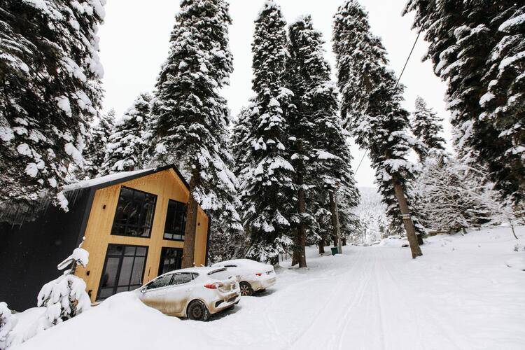 Shantivillas (Шантивиллас)