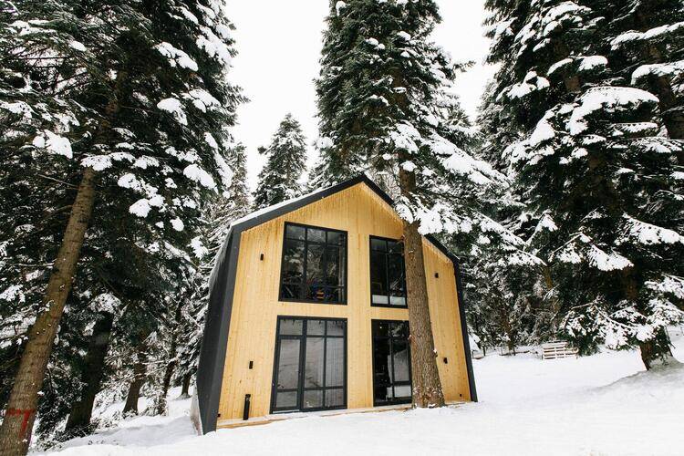 Shantivillas (Шантивиллас)