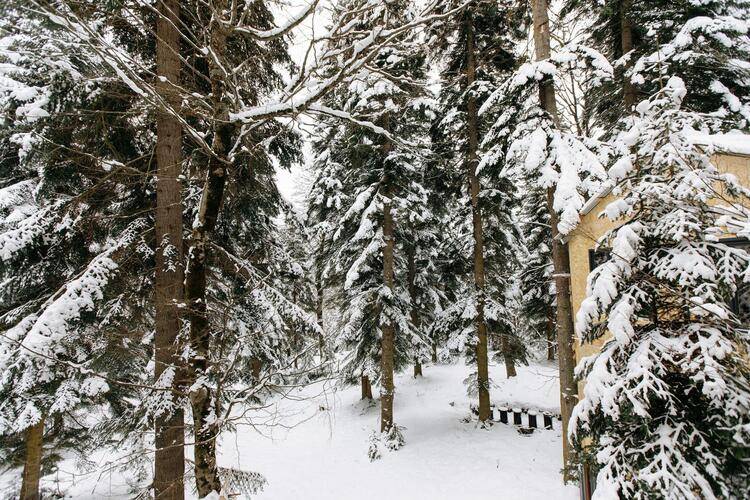 Shantivillas (Шантивиллас)