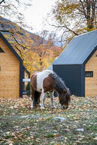 Wood Villas (Вуд Виллас)