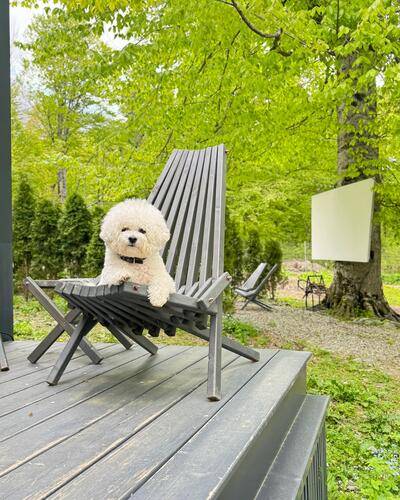 Wood Villas (Вуд Виллас)