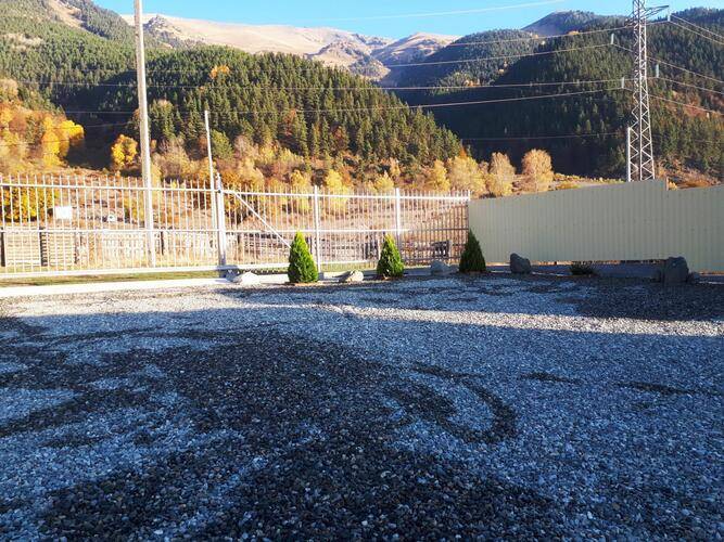 У Сергеевича