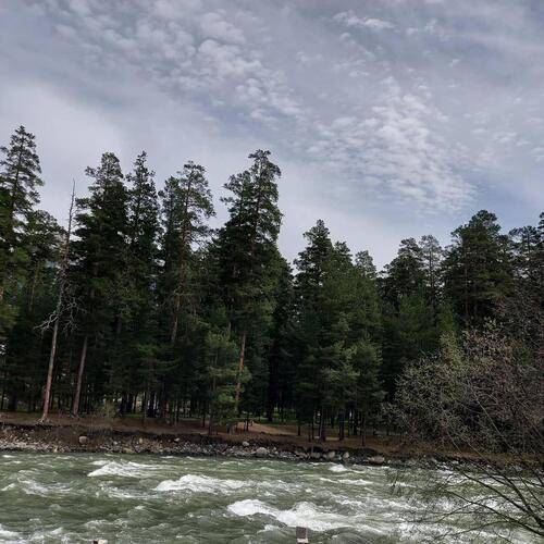 Речной Бриз