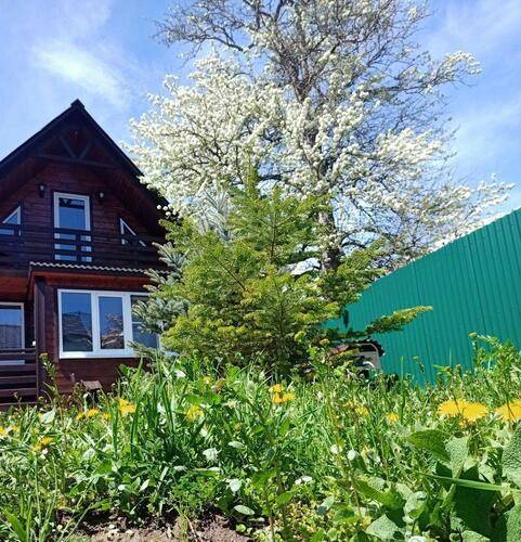 Уютный Архыз