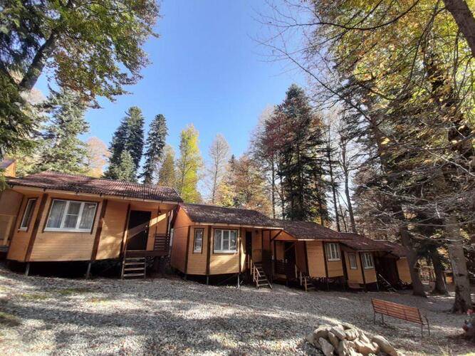 В Гостях У Сказки