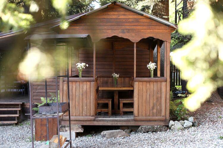 Горная Лаванда