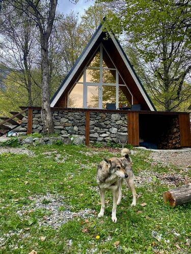 Дом Для Друзей