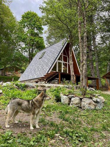 Дом Для Друзей