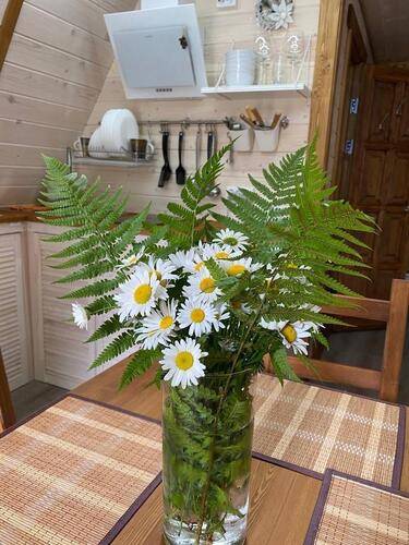 Дом Для Друзей