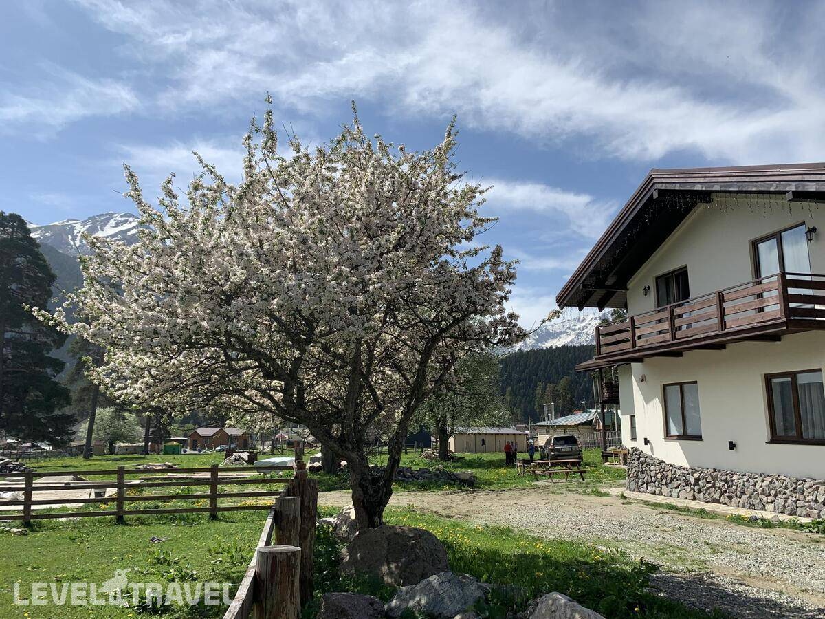 фотографии отеля Орион в Россия(Архыз) - фото №6