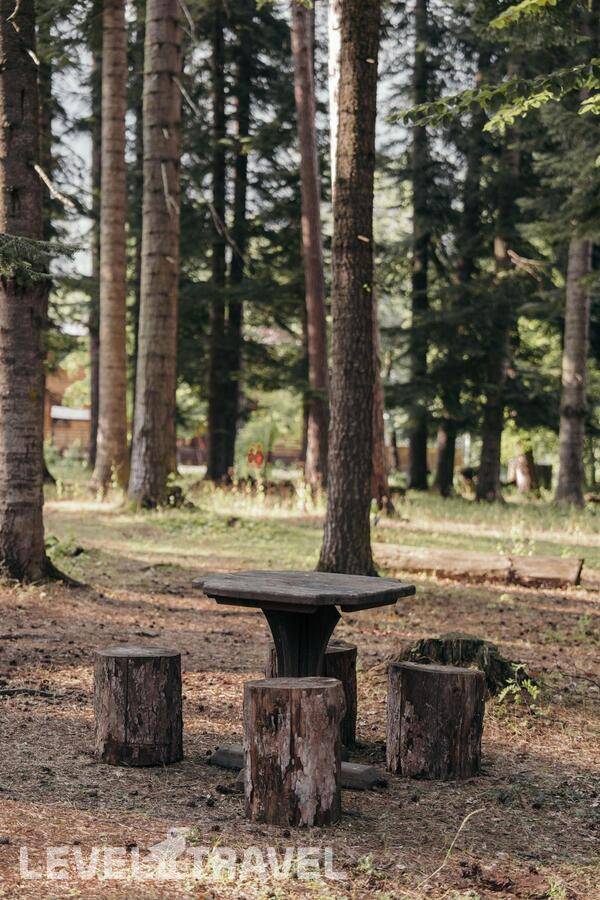 фотографии отеля Хижина в Россия(Архыз) - фото №11