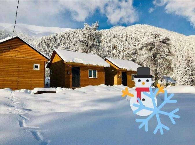 Чинар