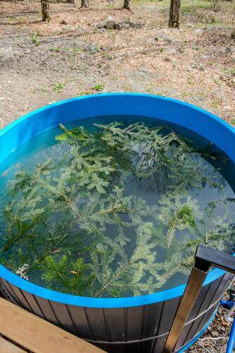 Aishah House (Айшах Хаус)