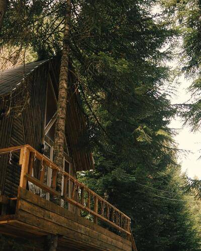 Avalon (Авалон)