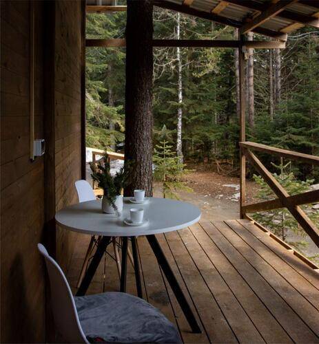 Avalon (Авалон)