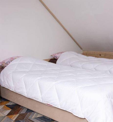 Avalon (Авалон)