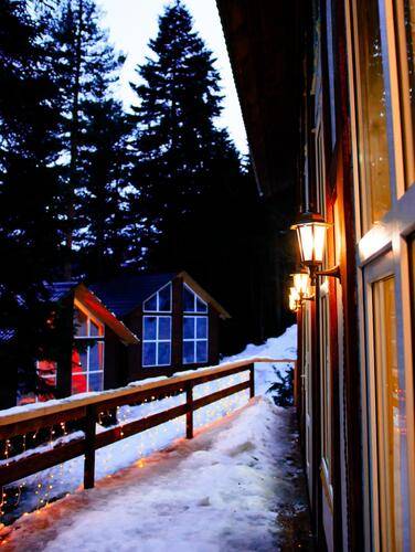 Avalon (Авалон)