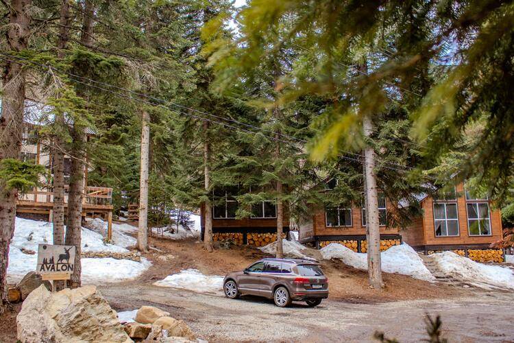 Avalon (Авалон)