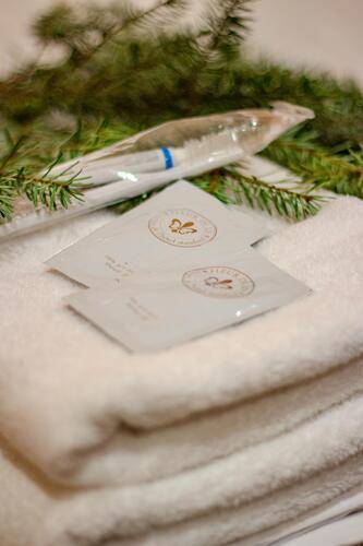 Avalon (Авалон)