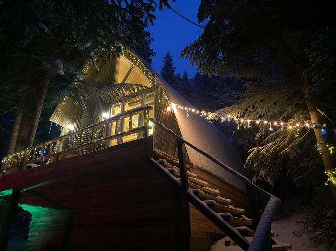 Avalon (Авалон)