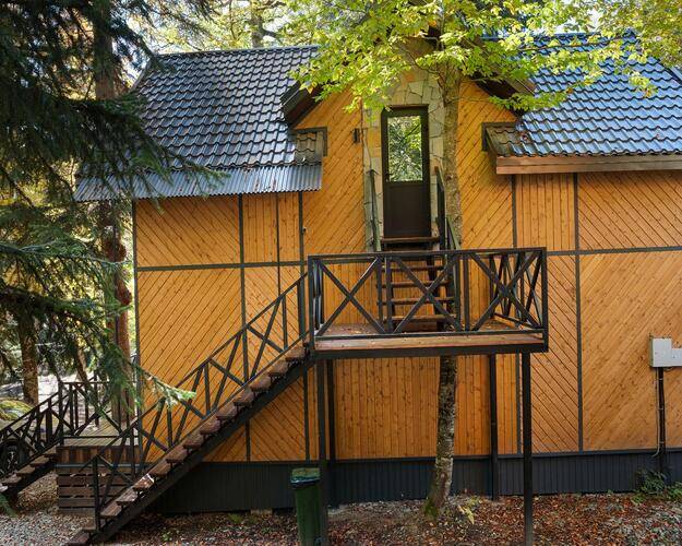 Green Forest Arkhyz (Зеленый Лес Архыз)