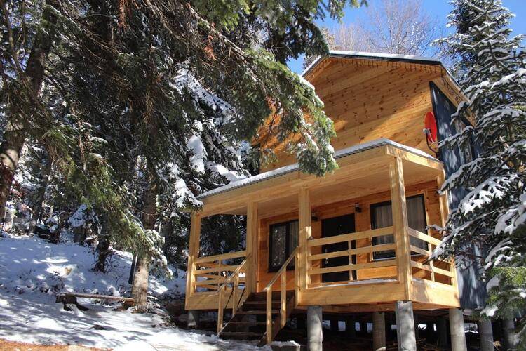 Kappusheff Family Place (Каппушефф Фэмили Плейс)