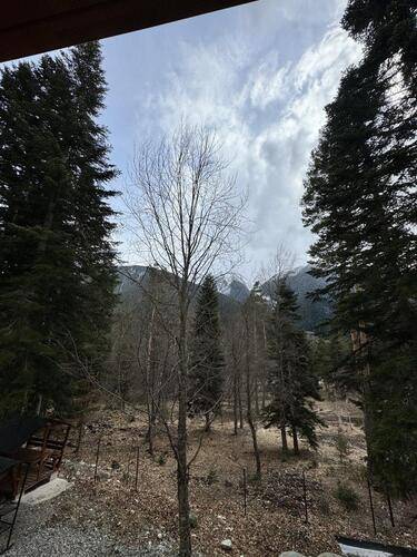 Kappusheff Family Place (Каппушефф Фэмили Плейс)