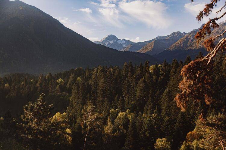 Woodberg (Вудберг)