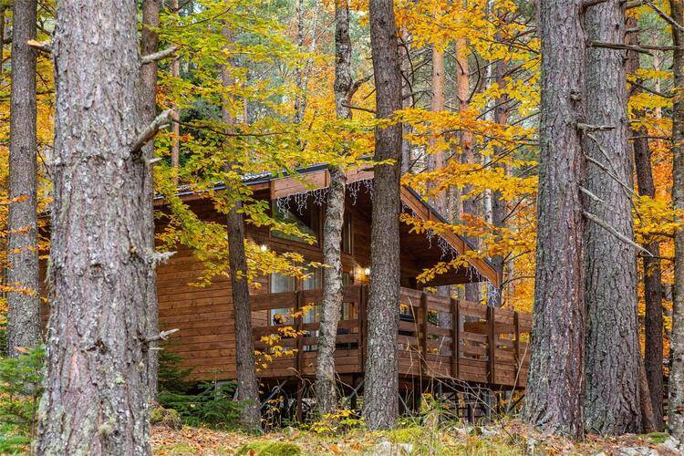 Парк Отель Нарния