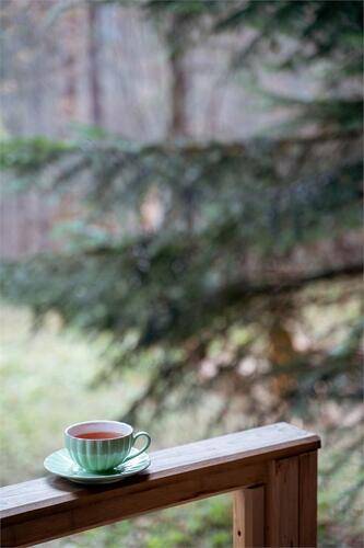 Aspen House (Аспен Хаус)