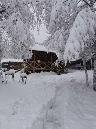 El Alan (Эль Алан)