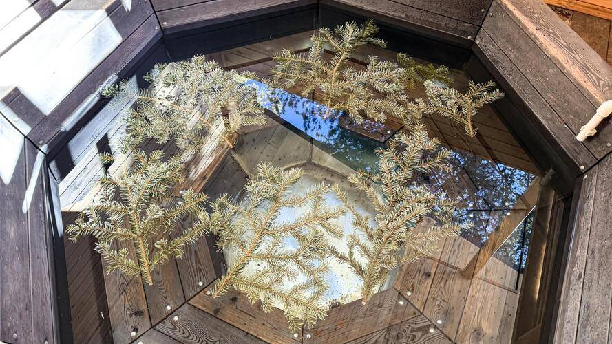 Valentina (Валентина)