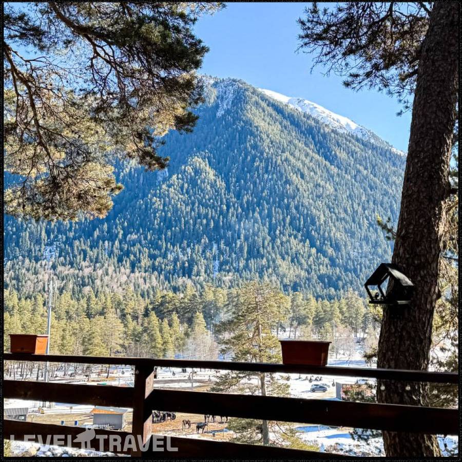 фотографии отеля Valentina (Валентина) в Россия(Архыз) - фото №81