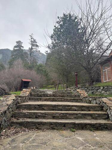 Woodland (Вудлэнд)